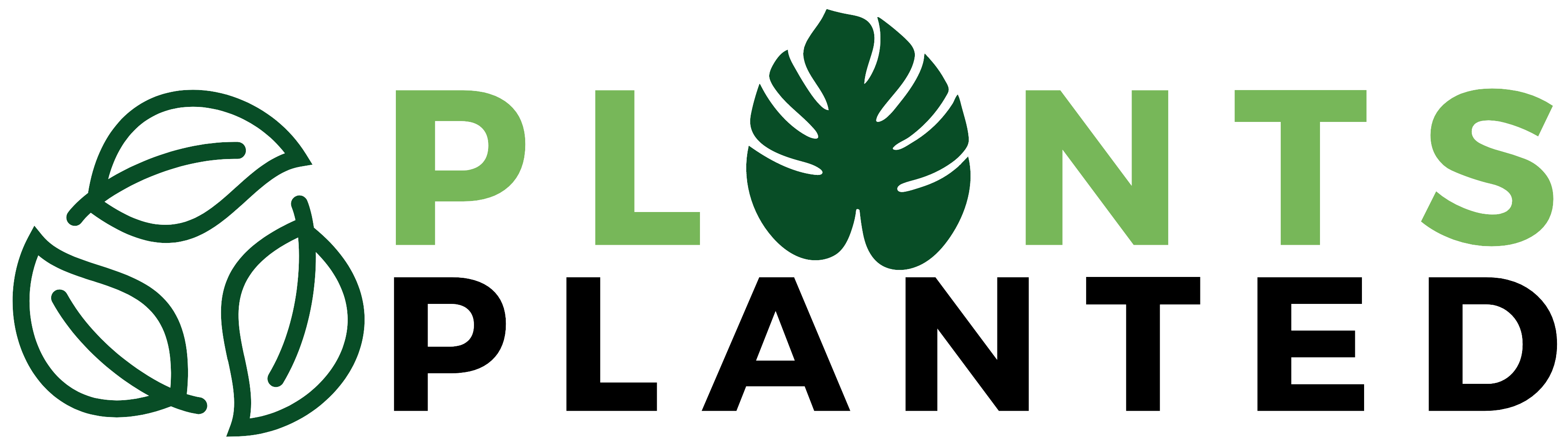 Plant Planted